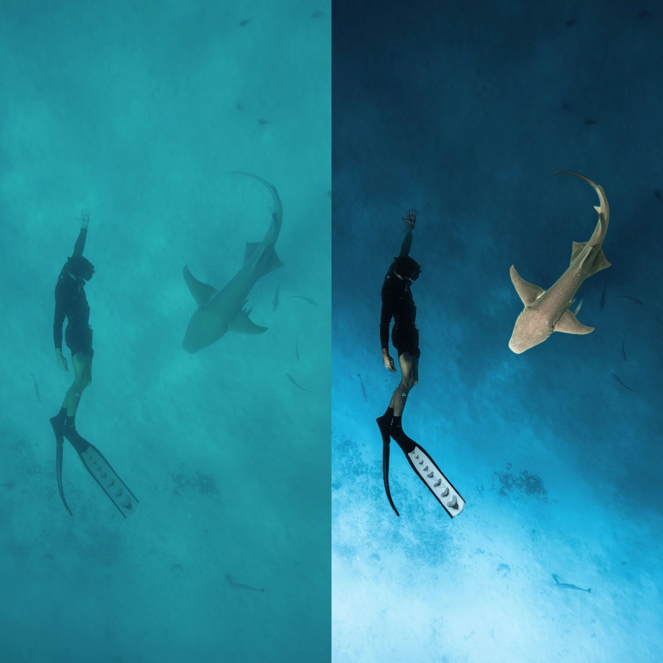 The Ultimate Underwater Photo Presets