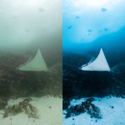 The Ultimate Underwater Photo Presets